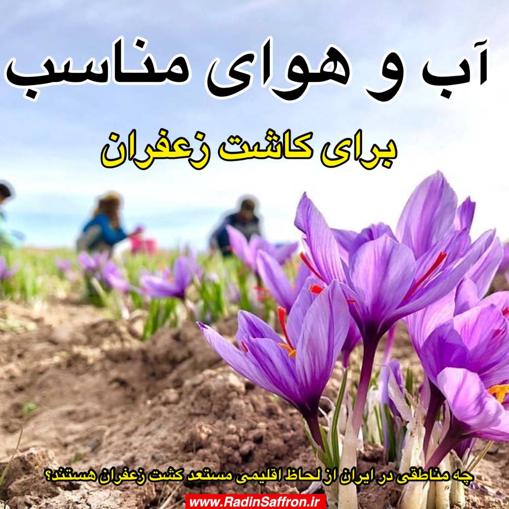 چه مناطقی در ایران از لحاظ اقلیمی برای زراعت زعفران مناسب هستند؟
