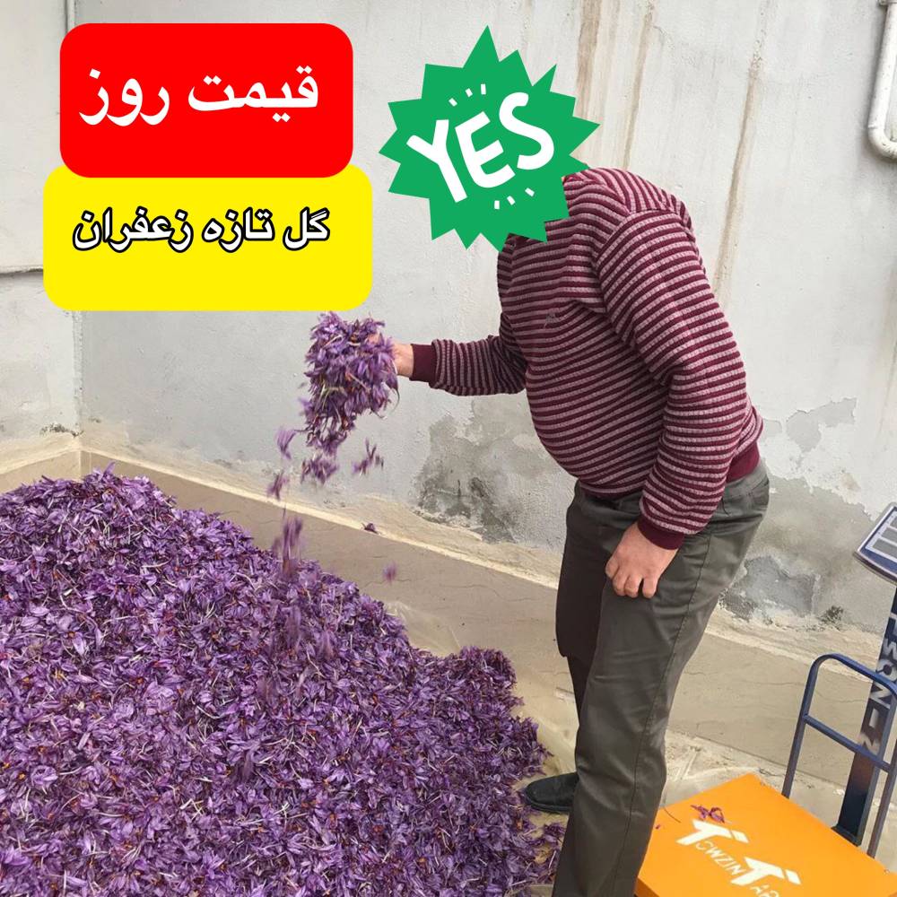 قیمت روز گل تازه زعفران 98/08/19