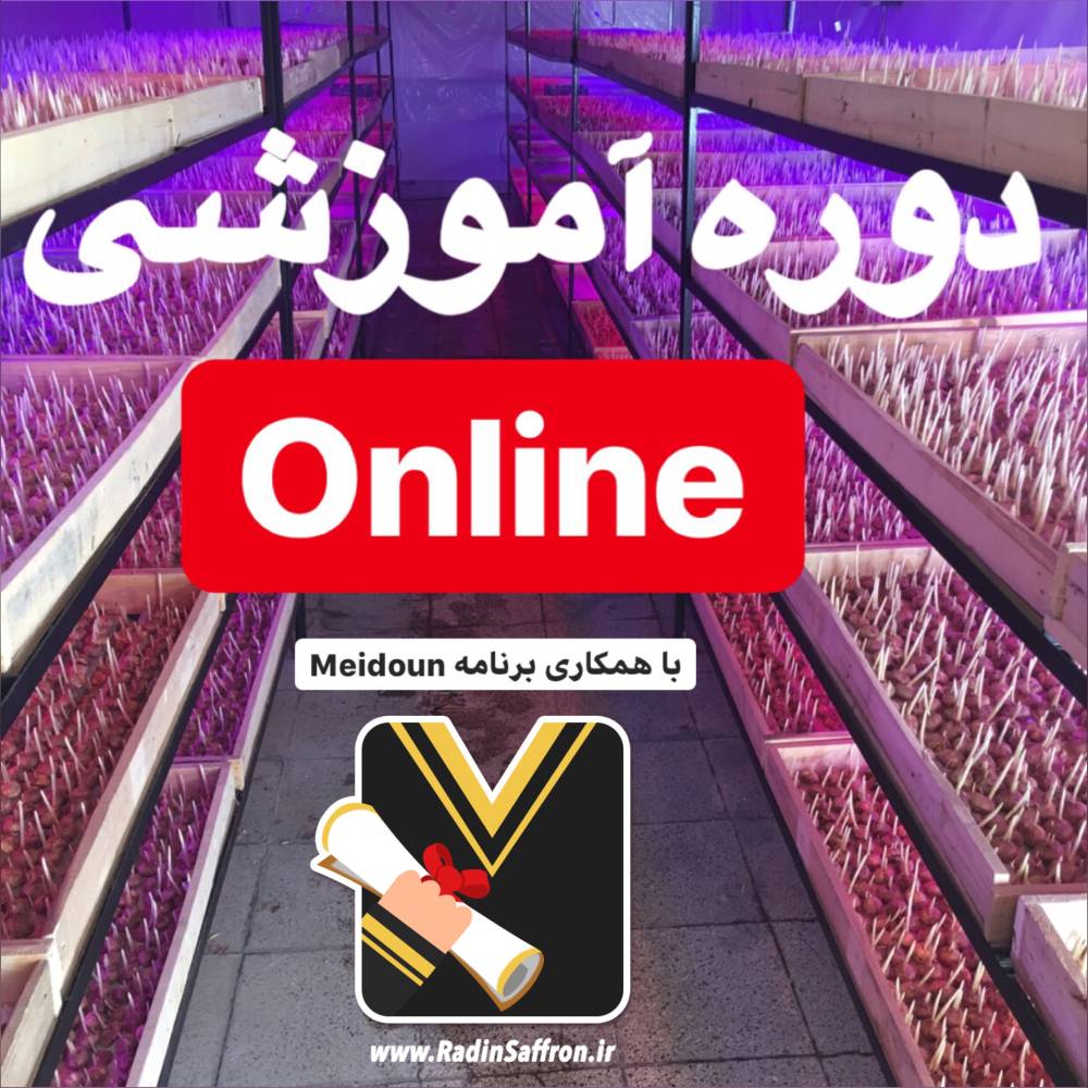 برگزاری دوره آموزشی آنلاین صنعت زعفران | اولین بار در کشور