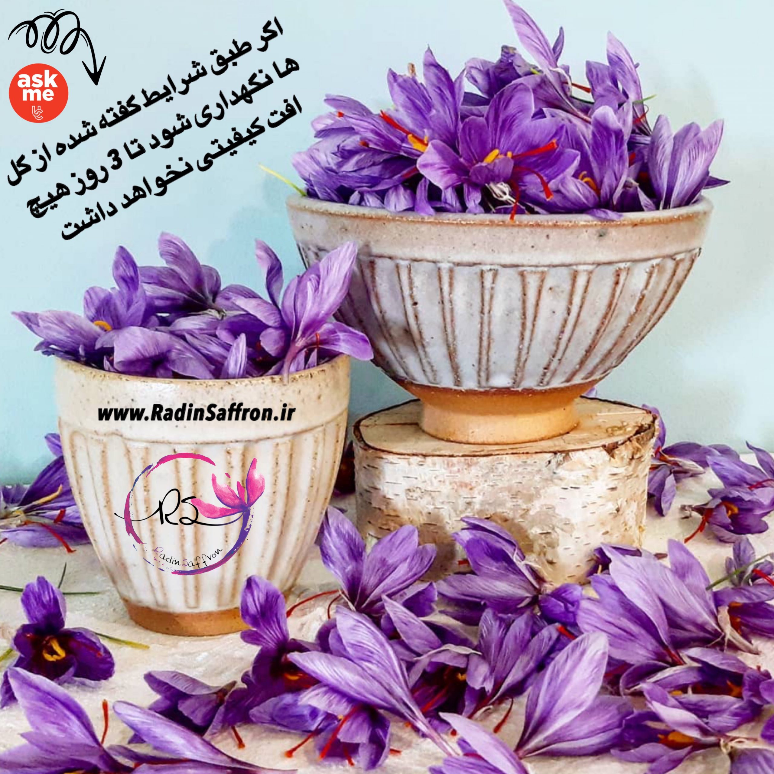 افت کیفیت در گل های زعفران ایران