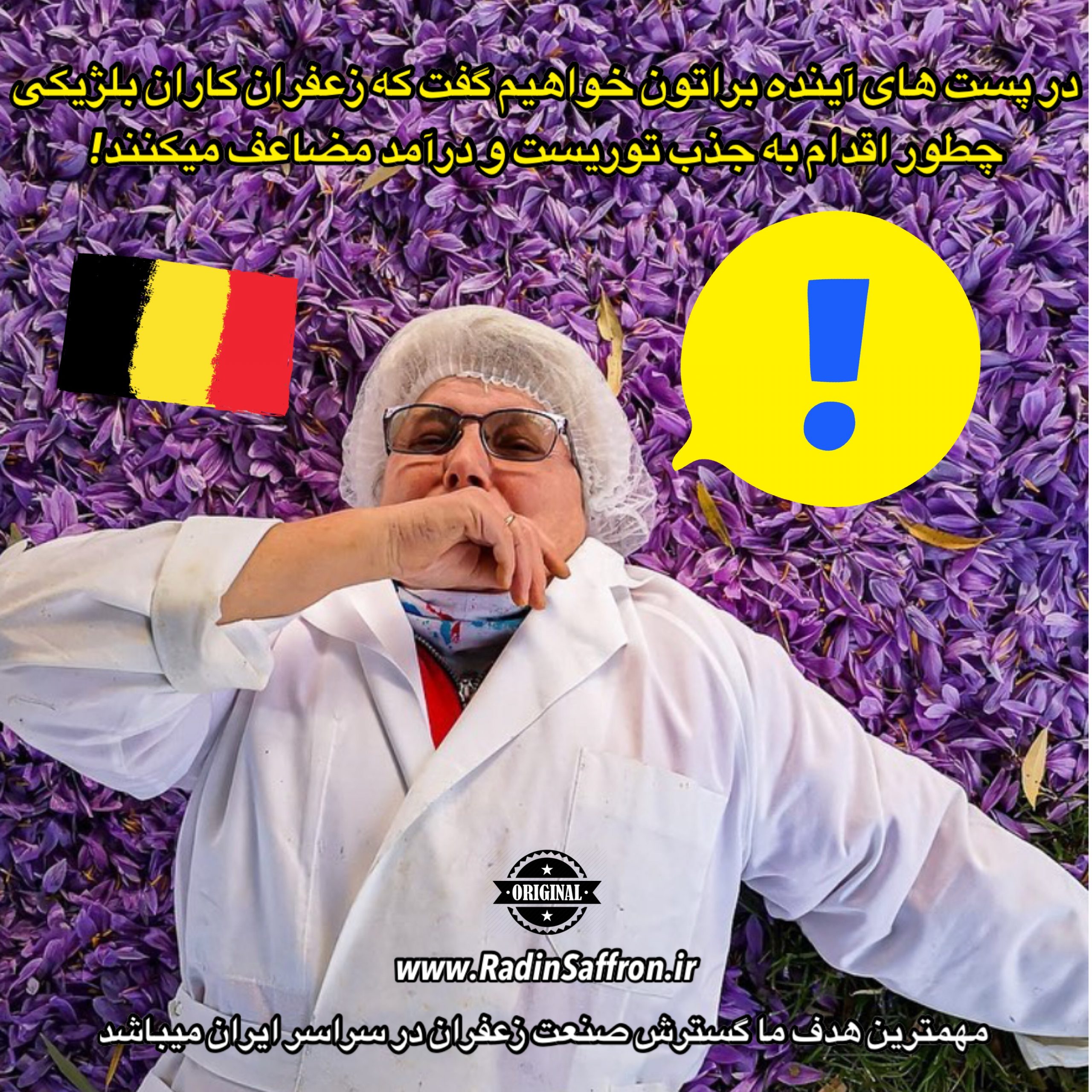 توریست گردشگری با زعفران در بلژیک