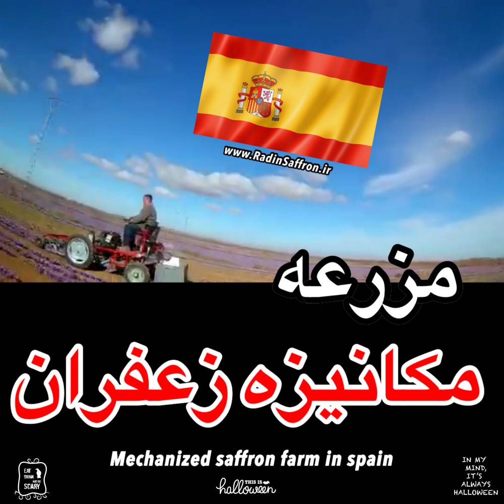 مزرعه تمام مکانیزه زعفران در کشور اسپانیا + عکس و فیلم