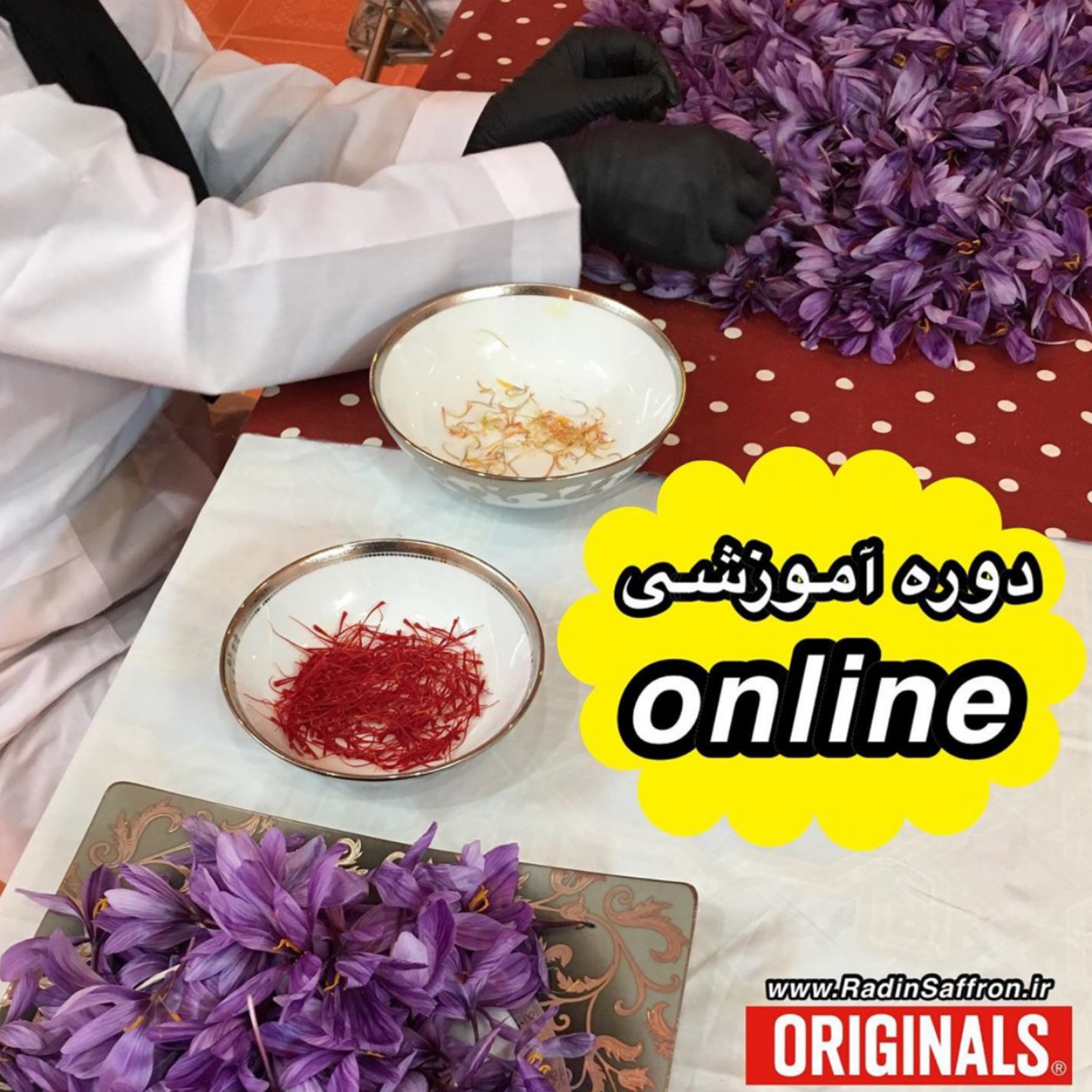 دوره آموزشی آنلاین صنعت زعفران | کشت سنتی و گلخانه ای زعفران+ بازاریابی و برندینگ زعفران