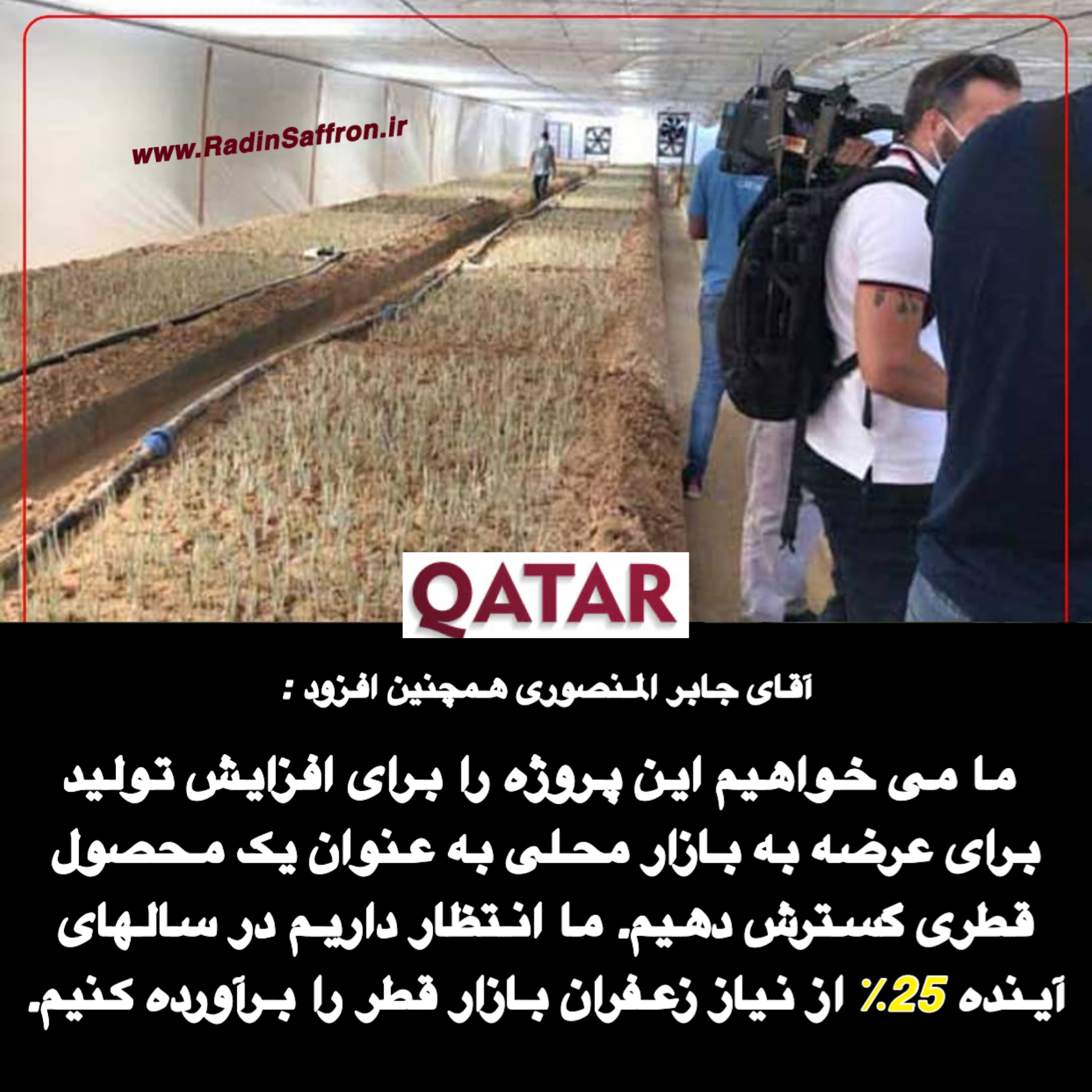 کاشت زعفران در قطر