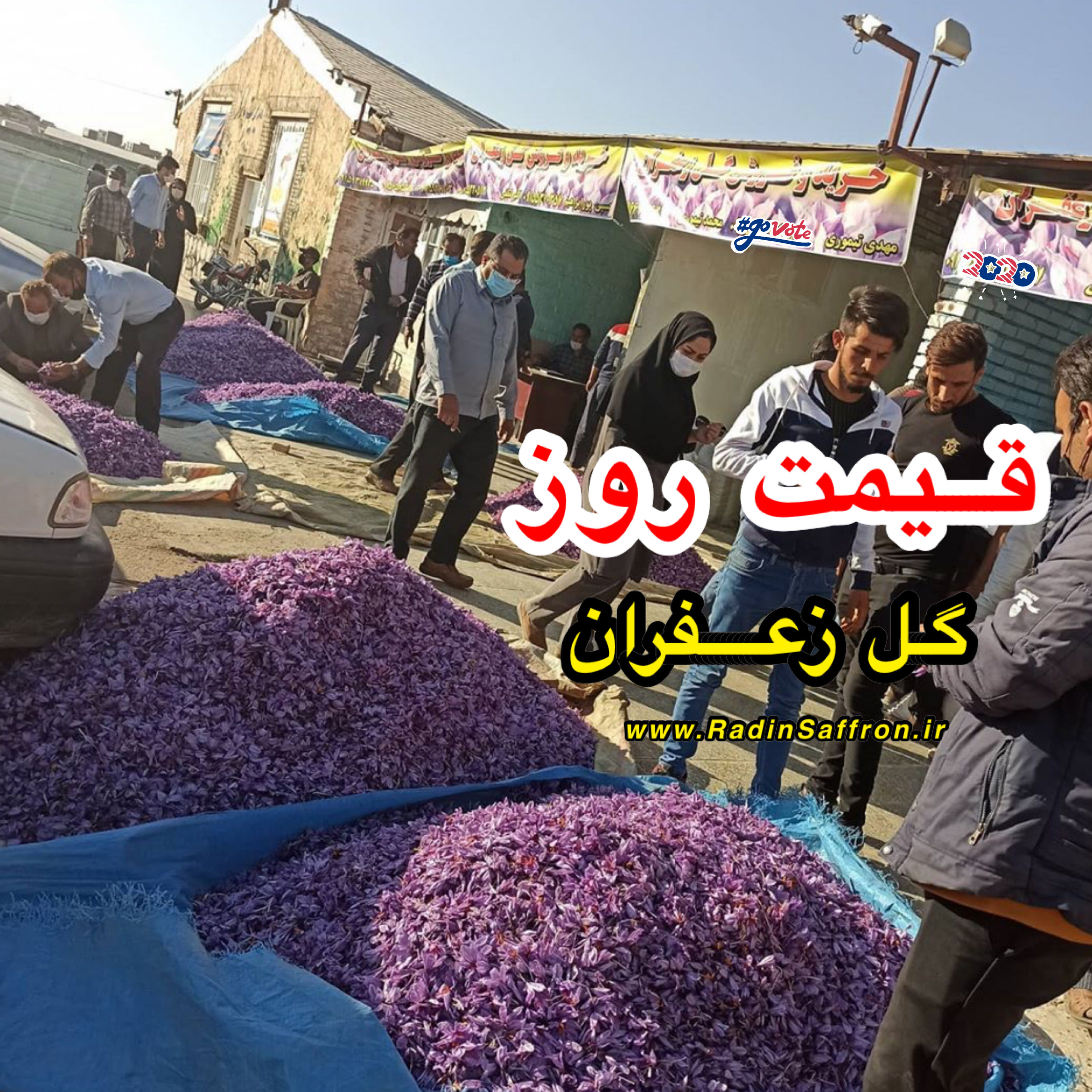 قیمت روز گل تازه زعفران | روز پنج شنبه ۱۵ آبان ماه ۱۳۹۹