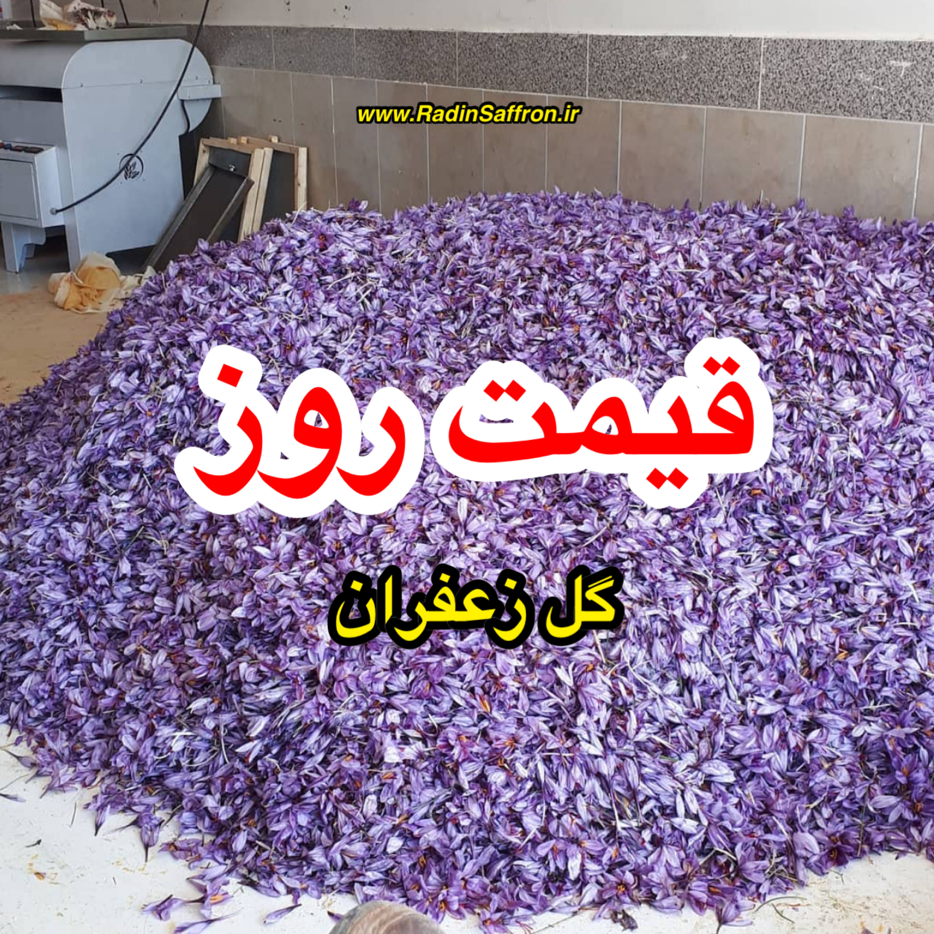 قیمت روز گل زعفران | روز پنج شنبه ۲۲ آبان ماه ۹۹
