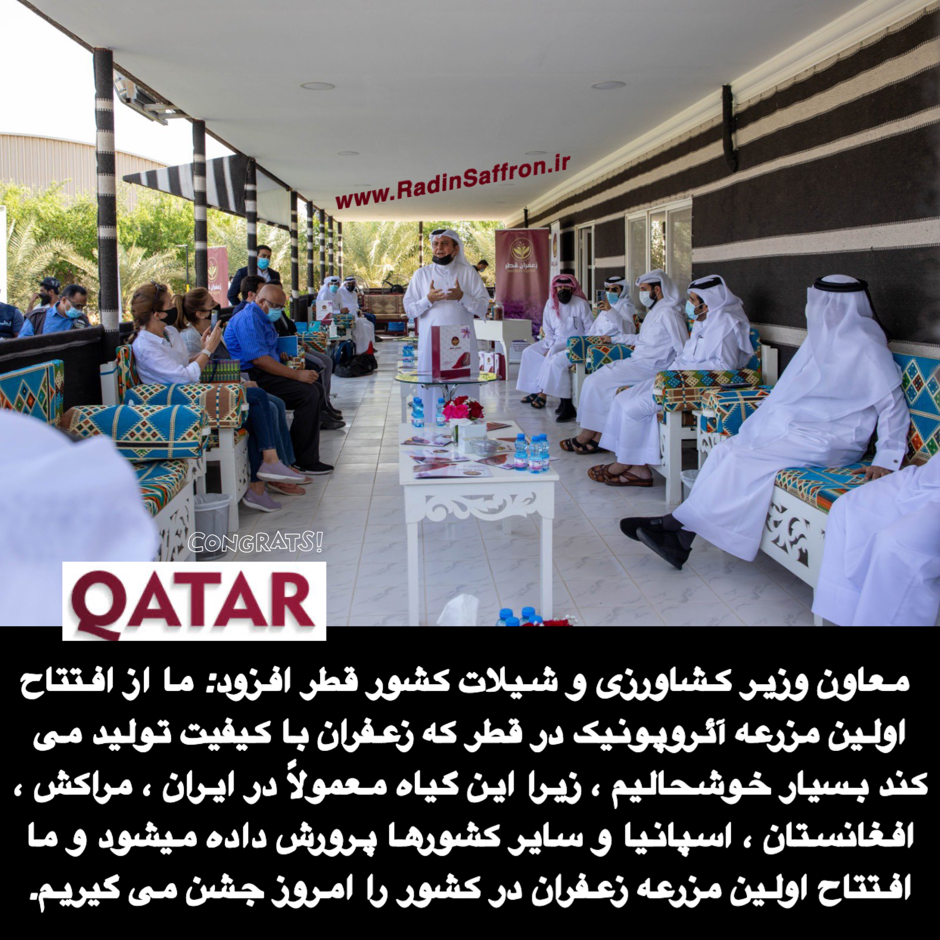 کشت گلخانه ای زعفران در قطر