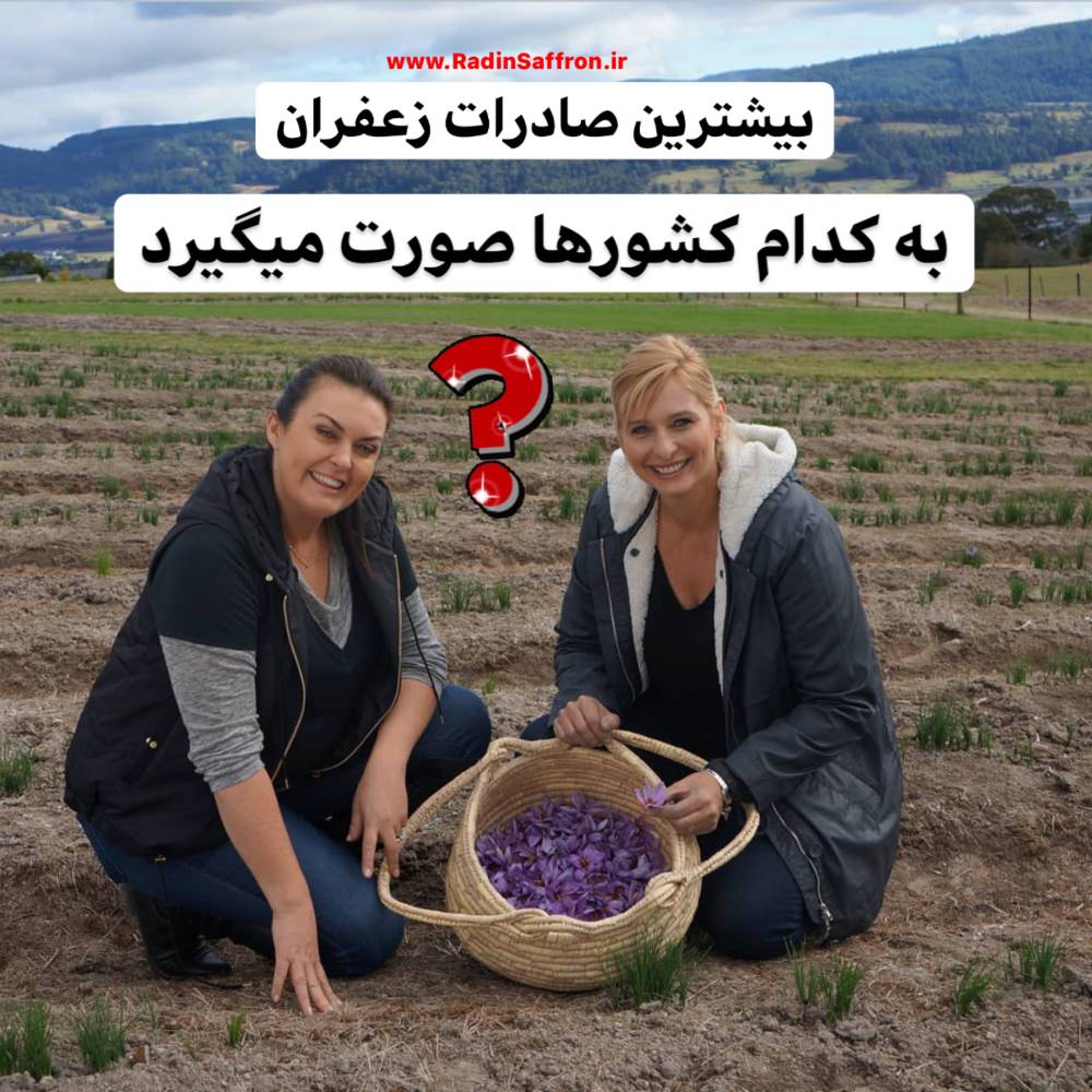 بیشترین صادرات زعفران به کدام کشورها انجام میشود؟+ آمار صادرات زعفران
