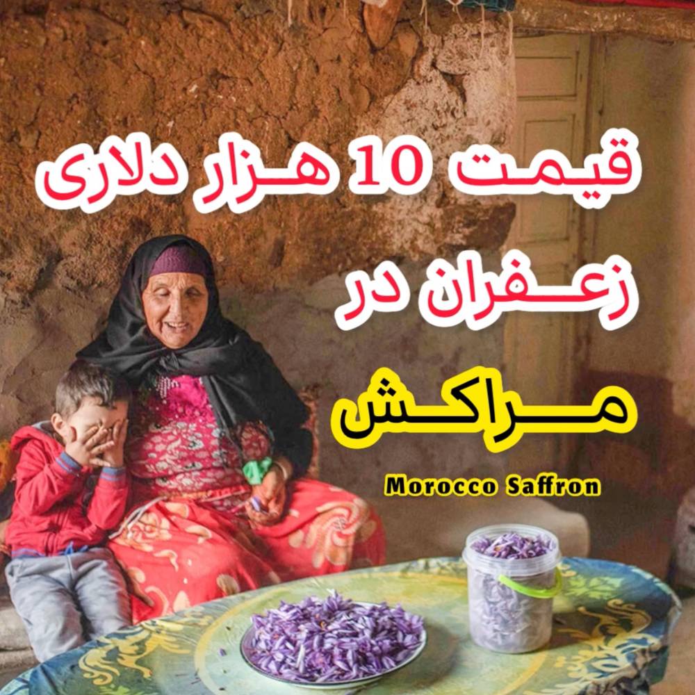 قیمت ۱۰ هزاردلاری زعفران در مراکش + فیلم
