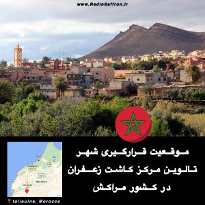شهر تالویین مرکز کاشت زعفران در مراکش