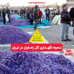 بازار فروش گل زعفران در ایران
