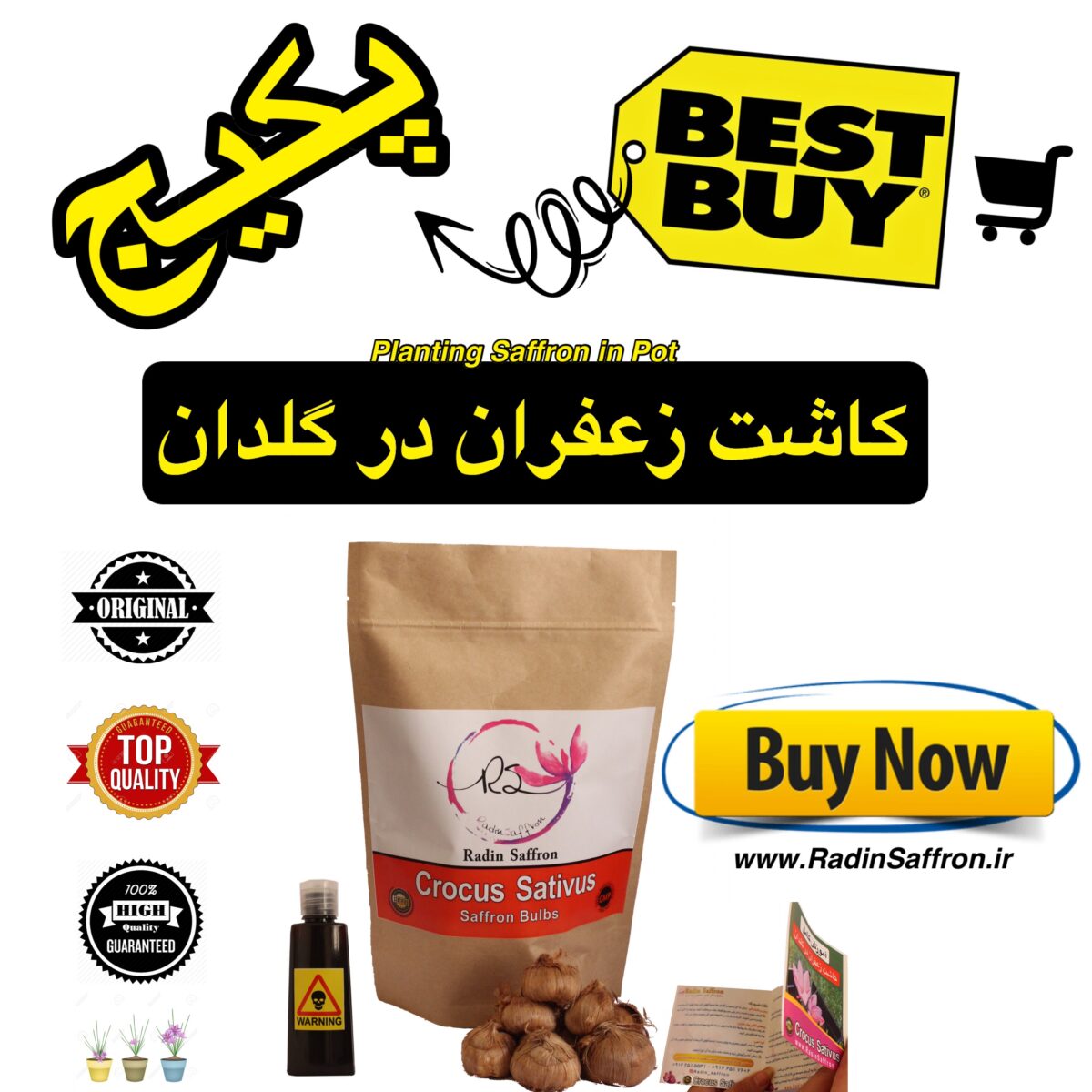 پکیج کاشت زعفران در گلدان + راهنمای تصویری کاشت زعفران در منزل