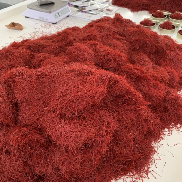 زعفران کیمیا