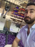 مشاوره راه اندازی گلخانه زعفران - تصویر 3