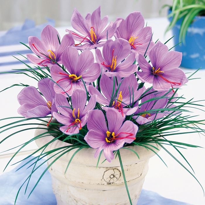 بهترین روش دم کردن زعفران