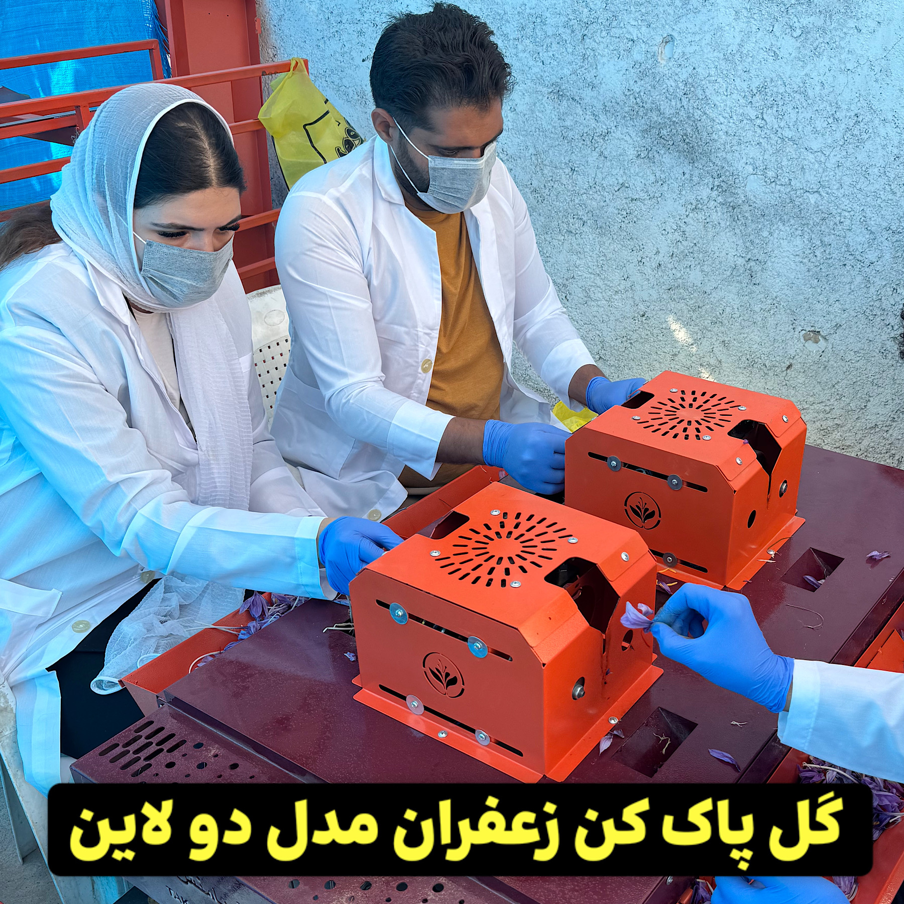 گل پاک کن زعفران مدل دولاین